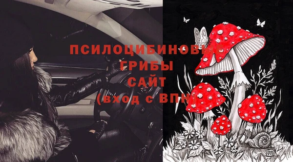спиды Алексеевка