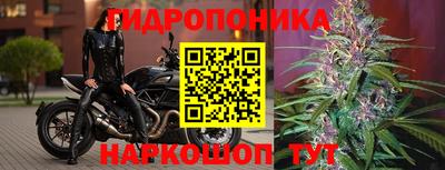 прущая мука Краснокаменск