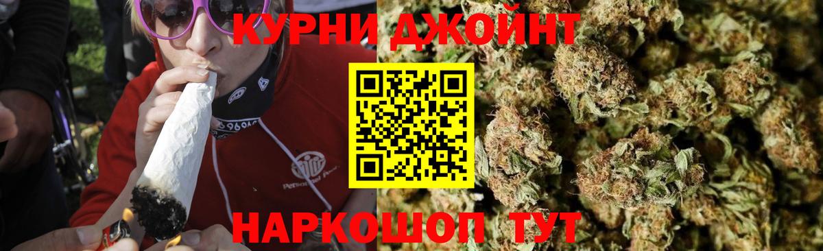 Конопля сатива  Вход с VPN  Сибай  Шишки марихуана конопля  Марихуана White Widow 
